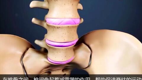 f7468187fd1ebbe8e7920126d310efc5e43cda10.jpg@480w_270h_1c