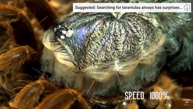 蛇是怎么蜕皮的全过程 f7501d5b8570c8a8e5e30d2f9cf8e2533d12f01d.jpg@280w_158h_1c_100q.jpg