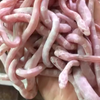 雪白玉米蛇
