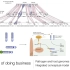 Beyond single genes- how receptor networks underpin plant im