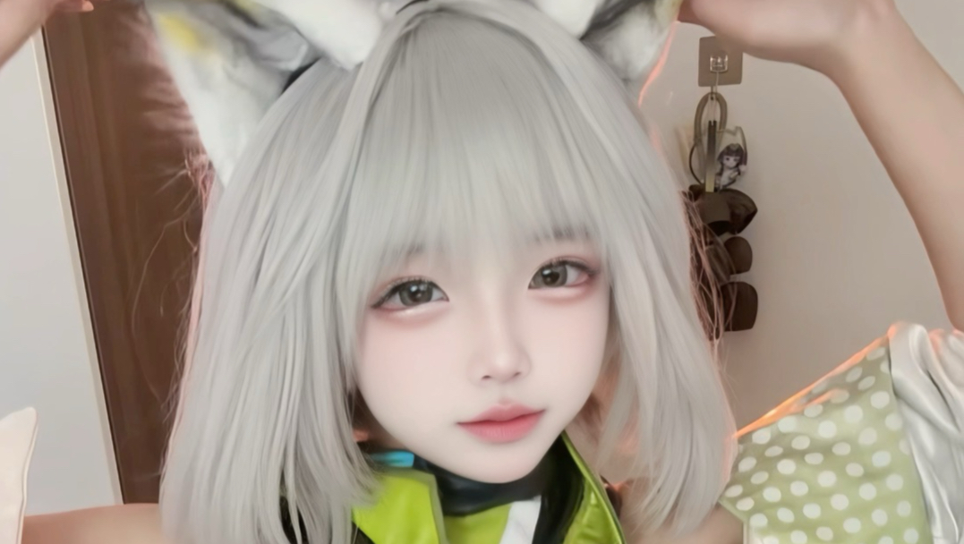 【凯尔希】寒芒纵云渡，罗德老猫赴