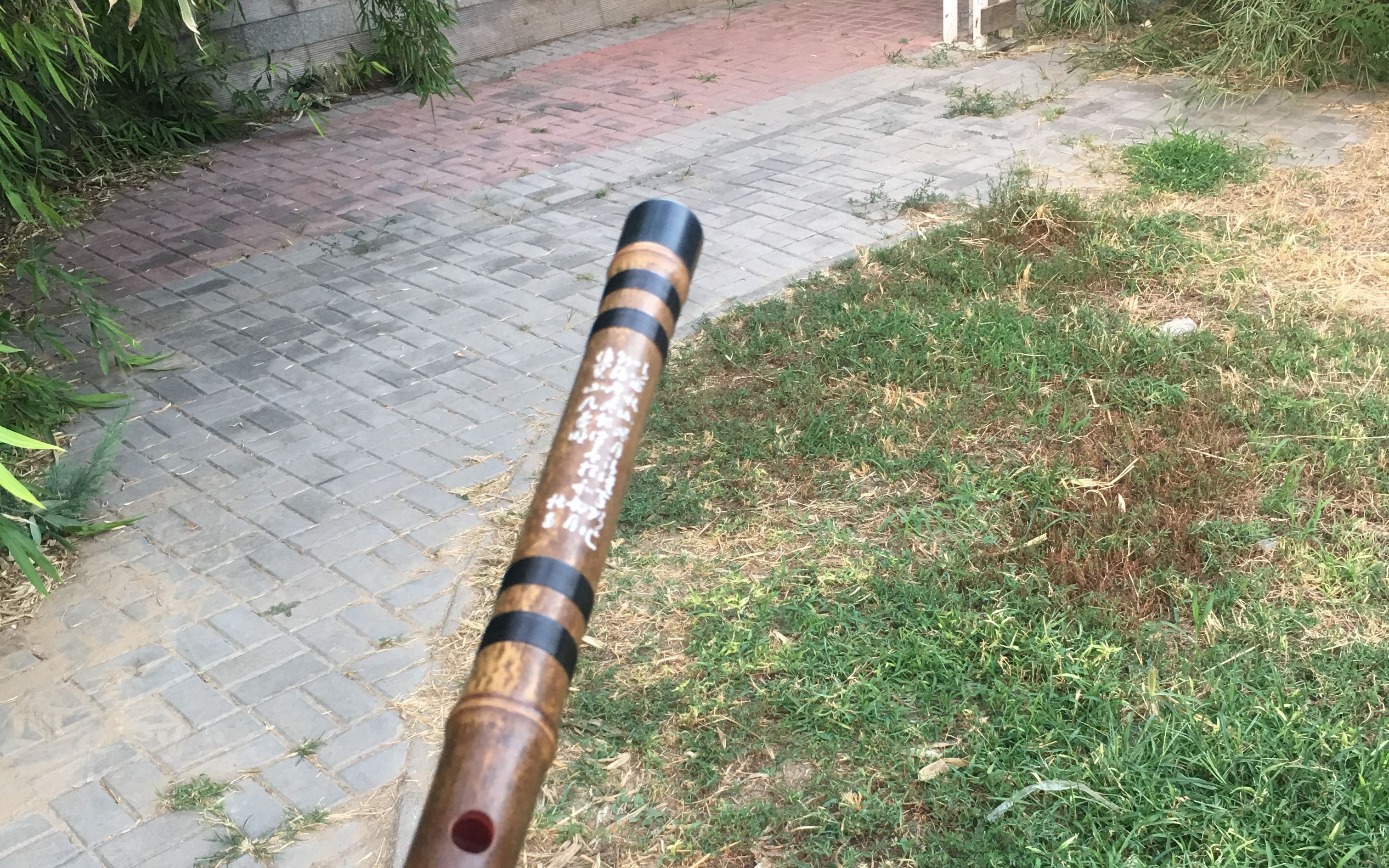 【竹笛】自学笛子11个月《琴师》