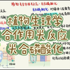 植物生理学-光合作用光反应-光合磷酸化