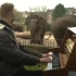 Piano Concert for Animals