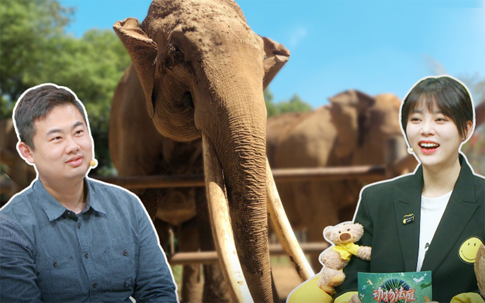 第5期 巨齿大象夫妇重启甜蜜生活【动物圈的问号脸2】