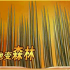 【雷人电视购物广告】首邦育发液