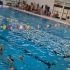 荷兰小学全员游泳必考文凭考试第三关-模拟落水踩水一分钟以上
