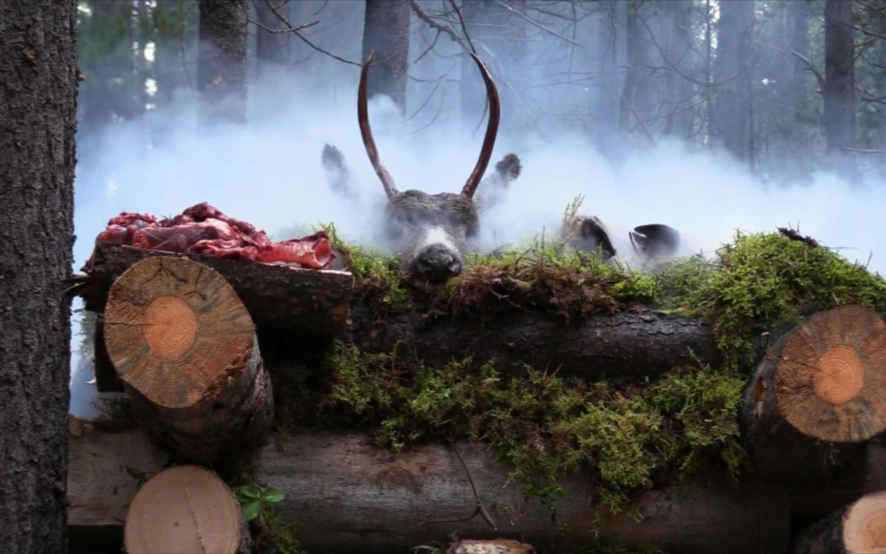 10人加拿大湖畔荒野求生，大佬捕获200斤黑尾鹿，搭建豪华熏肉房