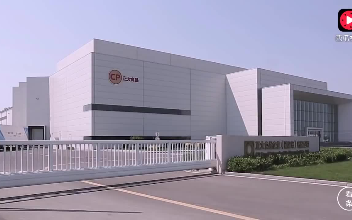 中国全自动水饺生产线，几千平方米的厂房竟然看不到一个员工