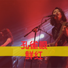 【孔雀眼】鲜红｜20210919深圳HOU