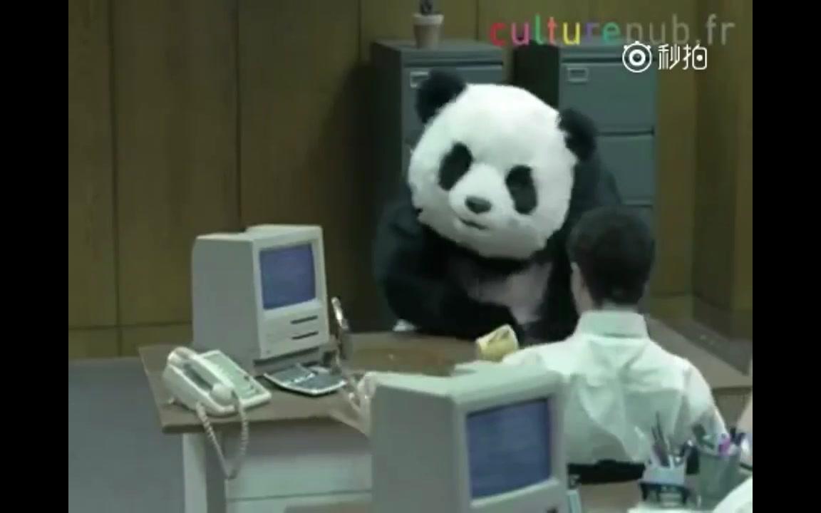 【万恶之源】还记得那个砸电脑抡键盘的熊猫吗,原来他在这里!