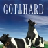 圣哥达乐队 GOTTHARD - Made In Switzerland (2006)
