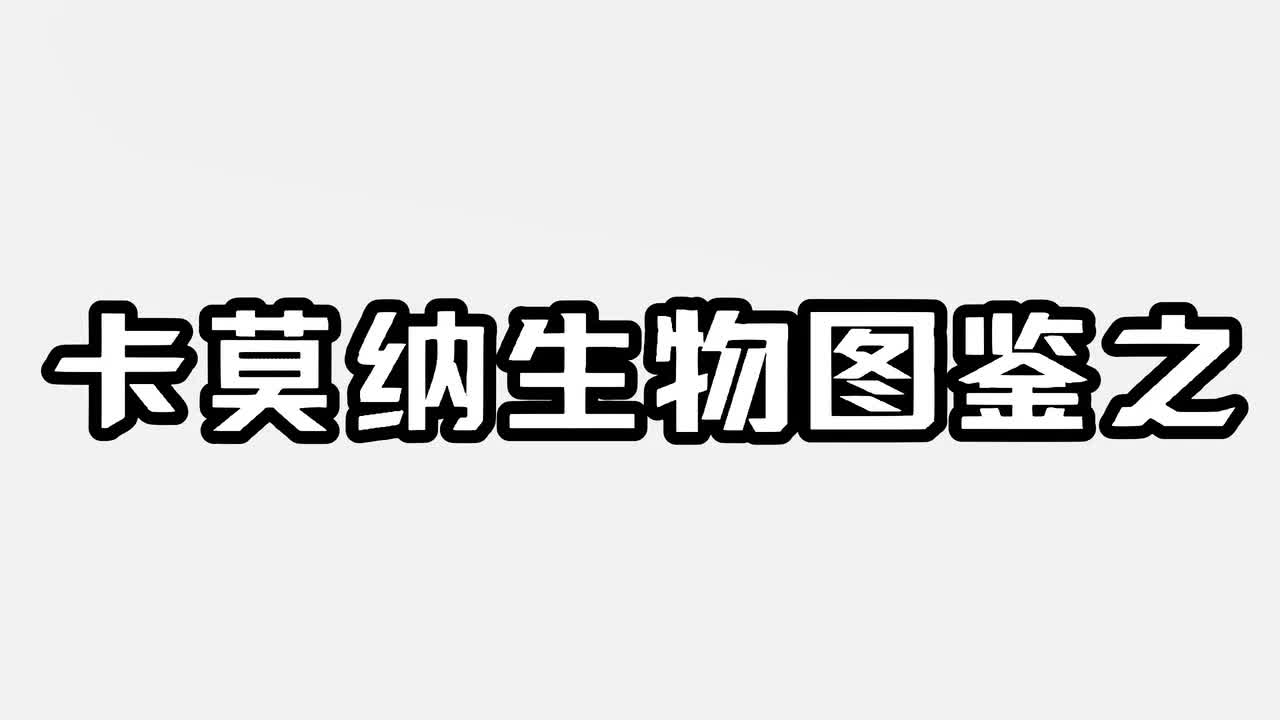 卡莫纳生物图鉴——作者本尊