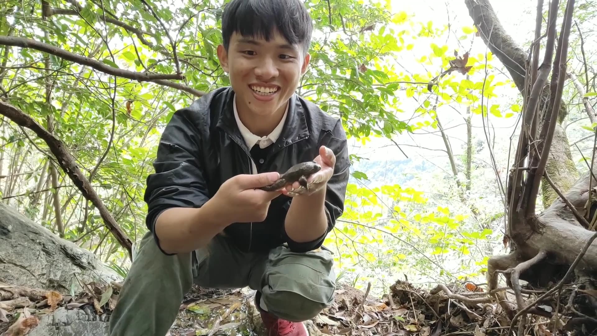 佛仔搞野:探访深山老林,乡村野货真多,这上等野味看着流口水却不敢抓,心酸哔哩哔哩bilibili