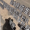 《 文 字 游 戏 》_CSGO