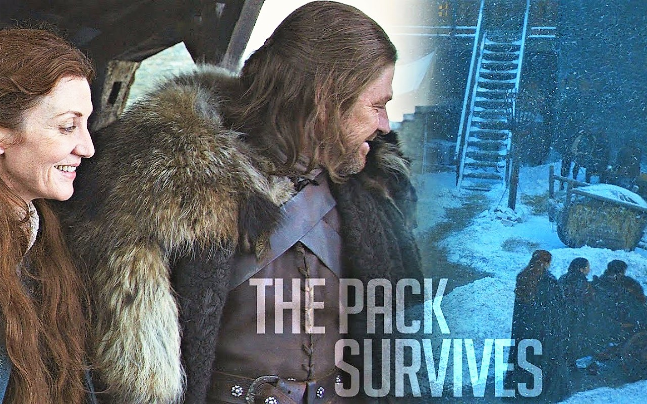 【史塔克家族群狼可活】(GoT) House Stark  The Pack Survives哔哩哔哩bilibili