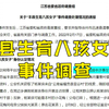 “丰县生育八孩女子”事件调查
