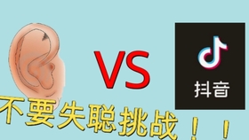 人均抖音外放_抖音图片