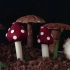 【蘑菇巧克力花园】蛋糕装饰技巧教程 免烤