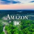 俯瞰地球： 亚马逊雨林超高清无人机视频（轻松音乐）