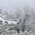 【白噪音】听雪落下的声音｜吴山江湖汇观亭