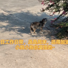 土木跑路回到村委工作后的第一个周末，当然是加班工作啦。天气还是很热，但是干劲一点都不能少