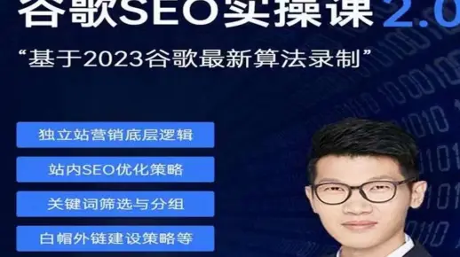 谷歌SEO 2.0 实战课 - 独立站询盘自由必备
