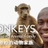 【野生纪录片/中英字幕】猴子:奇妙的动物家族 (全3集)