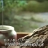 纪录片-《壶之美》-SNK