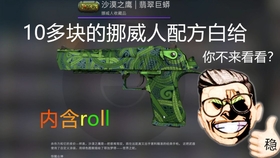 csgo怎么搭人_csgo茄子(3)