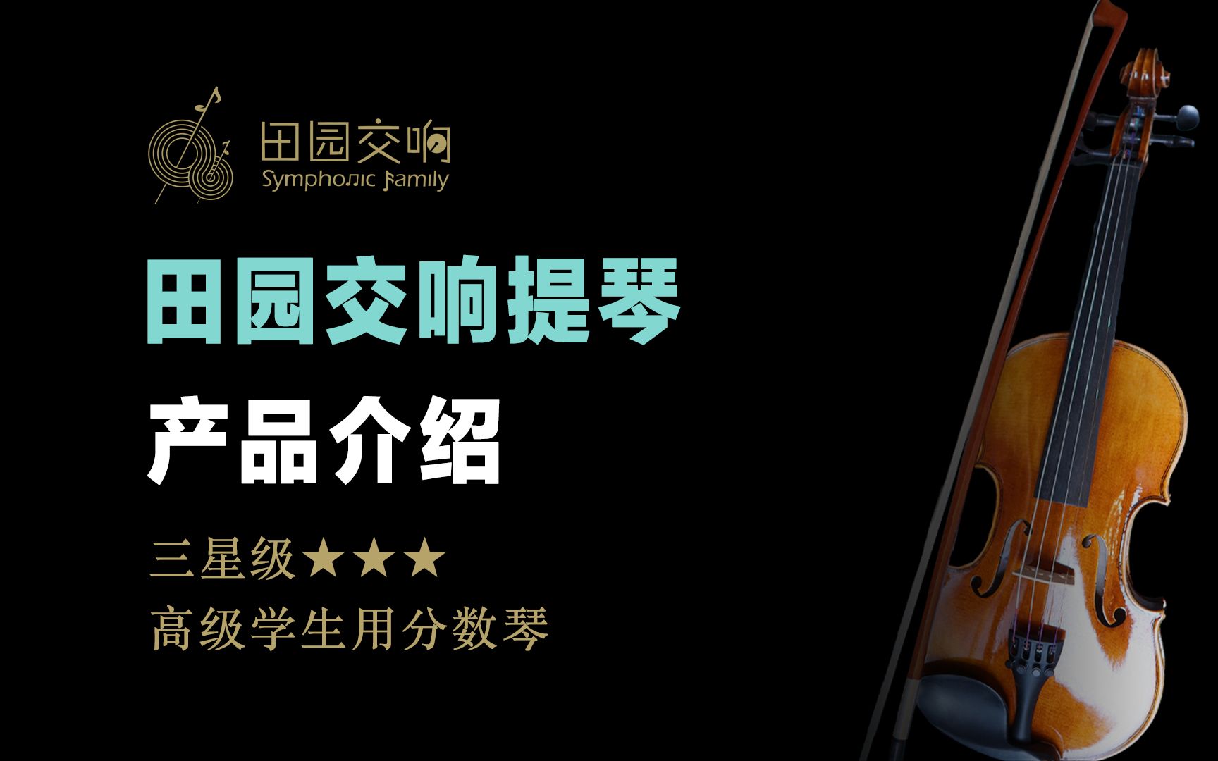 田园交响【三星级】提琴介绍：高级学生用手工分数琴