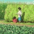 【千与千寻】一首歌带你回到宫崎骏的夏天，一起走进童话的世界