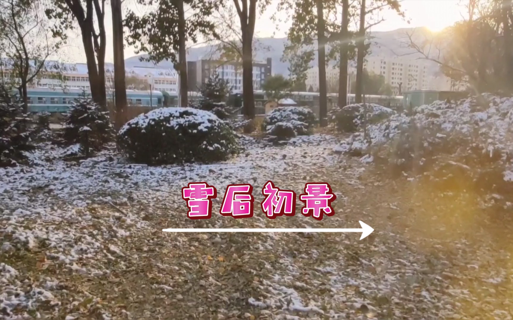 雪后初景