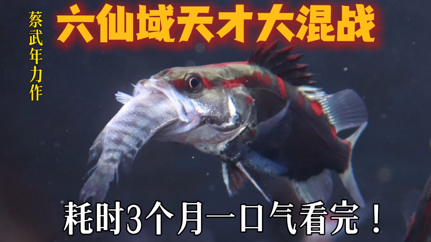 让六个区域路亚鱼种进行大混战，究竟谁能顺利活到最后！【超长大合集】