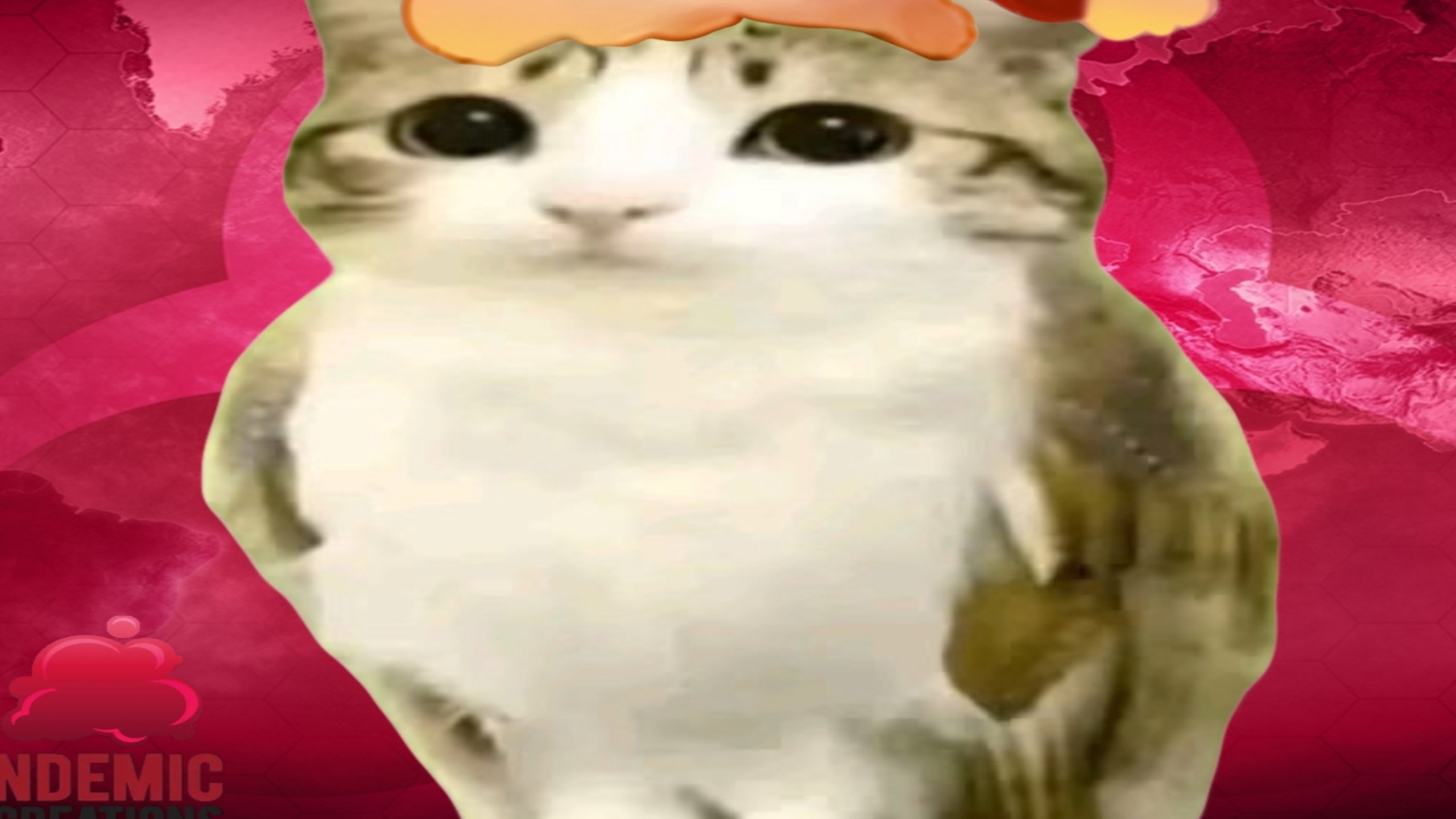 我对蜜雪冰城的喜爱程度be like