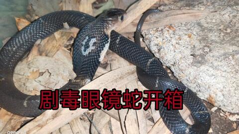 f94c201948e76d4ffc5ad0c04dc997e59e6ca489.jpg@480w_270h_1c