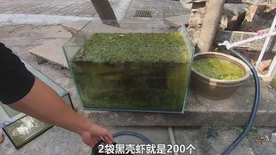 f95f7ae0dfd83f639735c42f1cb81d2c9617b40c.jpg@310w_174h_1c_100q.jpg
