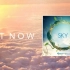 Steerner & Martell - Sky (Radio Edit)