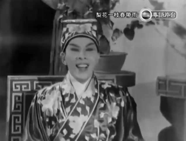 梨花一枝春帶雨