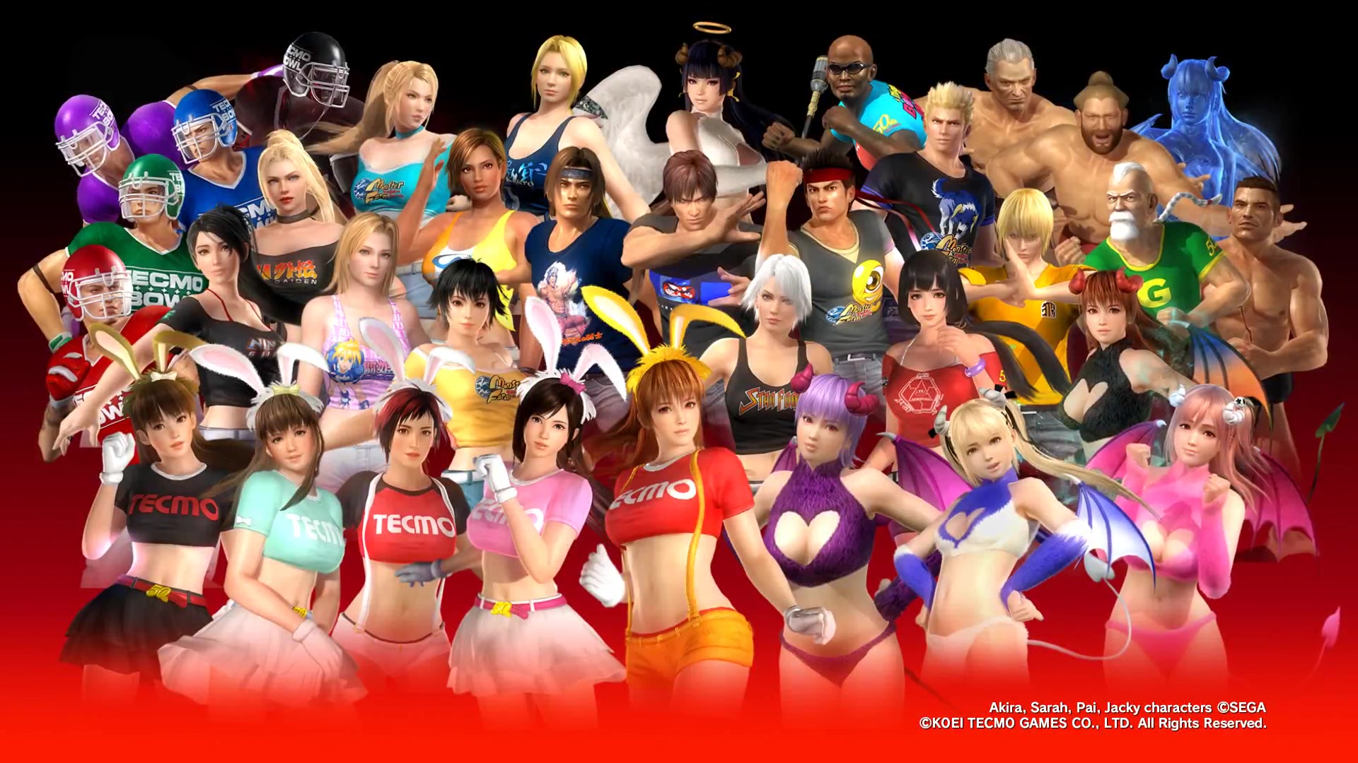 doa5lr 5th周年 dlc