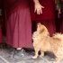 “西藏的第一座寺庙”，可爱又amazing！