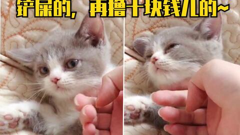 f9ab2e425f68b5441fde9546f09a8a7a70668c6d.jpg@480w_270h_1c