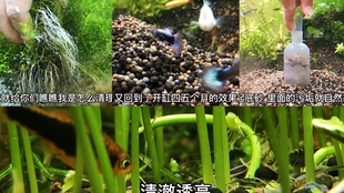 f9ab8f25c65930f0f391ea635403f7acf6f62404.jpg@310w_174h_1c_100q.jpg