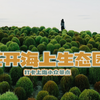 花开海上生态园｜上海郊区小众景点｜遍地花海｜网红地肤