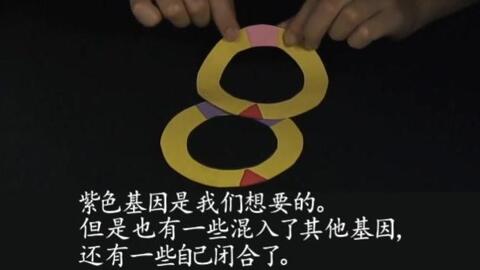 f9b4040651e8cd0d09d7f682ca078debdf5a7bde.jpg@480w_270h_1c