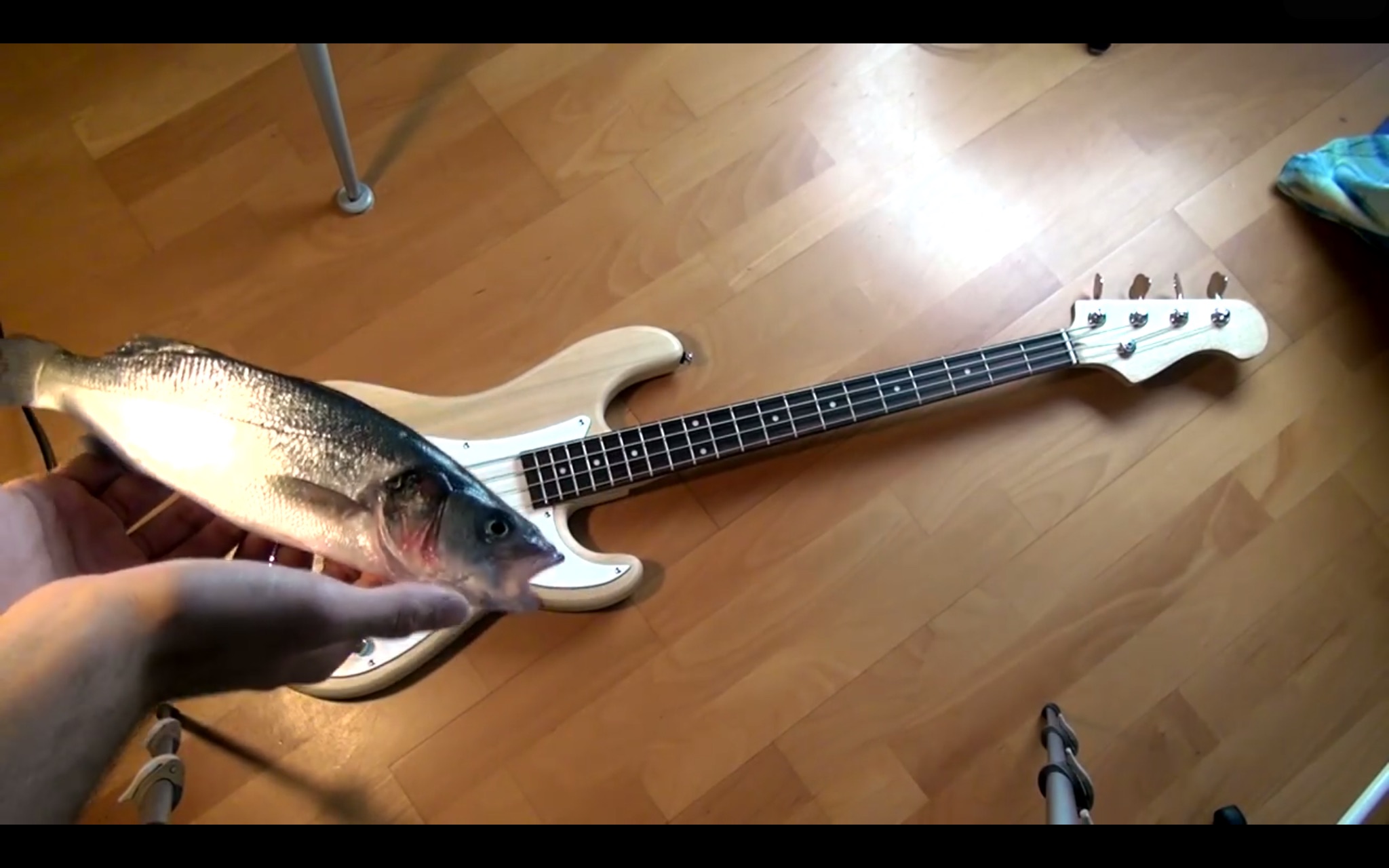 [贝斯-davie504]bass meets bass