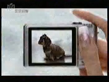 松下lumix fx7广告国语