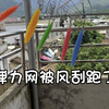 弹力网被大风刮跑了，但是我还是把它抓住啦