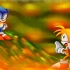 【重置版/full】Sonic.Exe 梦魇的开始-重置版【NB-REMAKE】 塔尔斯完整版demo-橙环存活通关