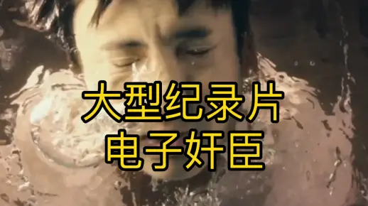 大型纪录片之《电子奸臣》为您奉上！